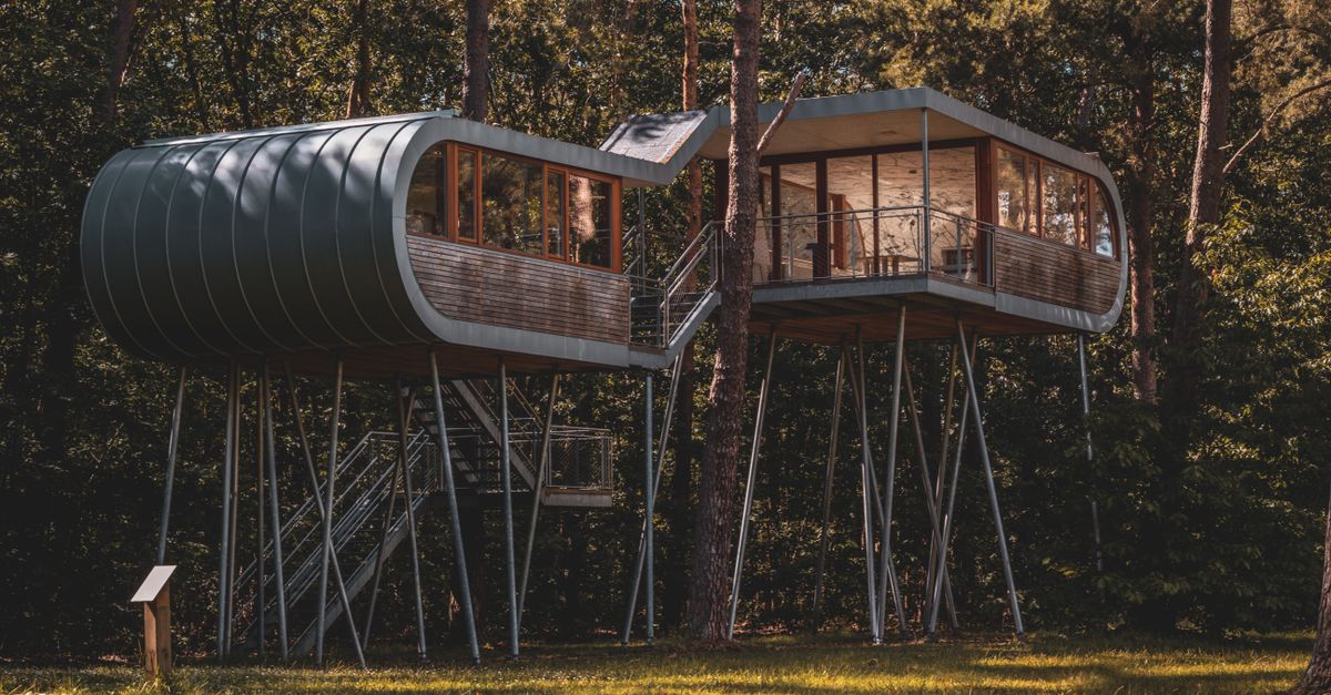 Plataforma de madera elevada entre árboles con carpa rígida sobre ella