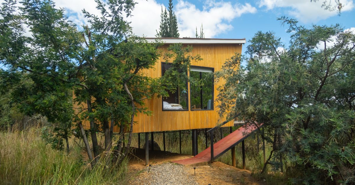 Cabaña de madera elevada entre árboles altos con luz natural filtrada